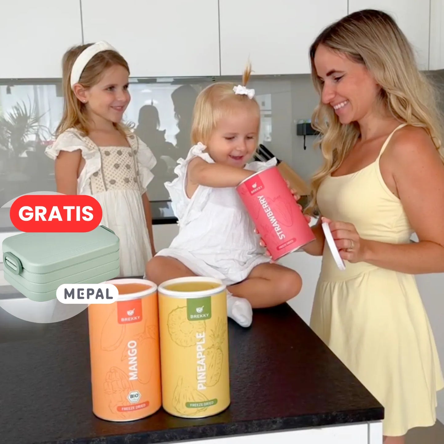 Gevriesdroogd Fruit Zomer Proefpakket