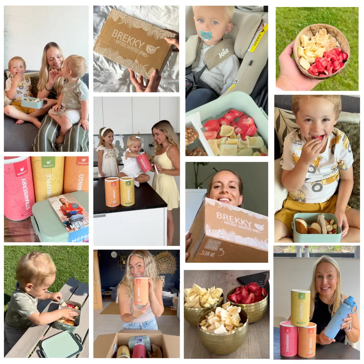 Gevriesdroogd Fruit Zomer Proefpakket