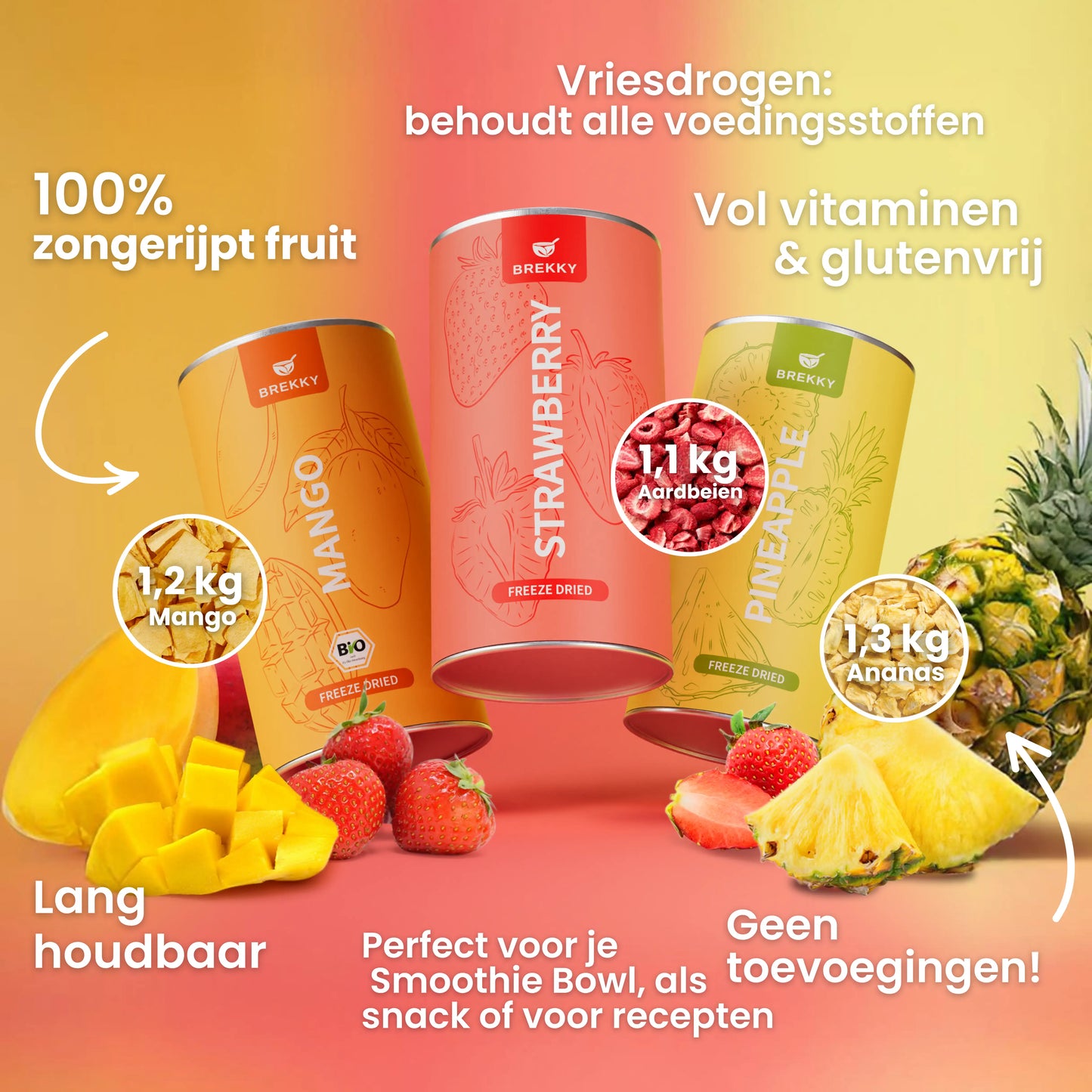 Gevriesdroogd Fruit Zomer Proefpakket