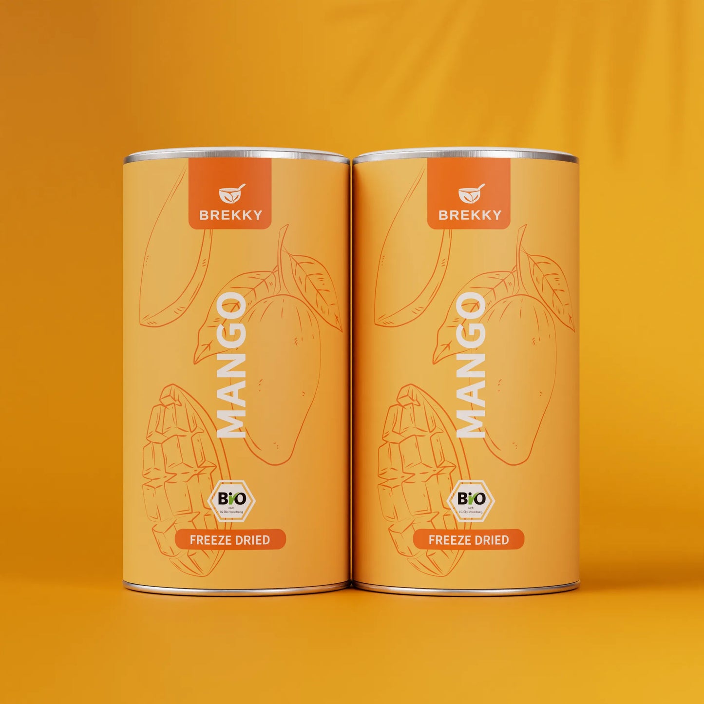 Gevriesdroogde Mango BIO