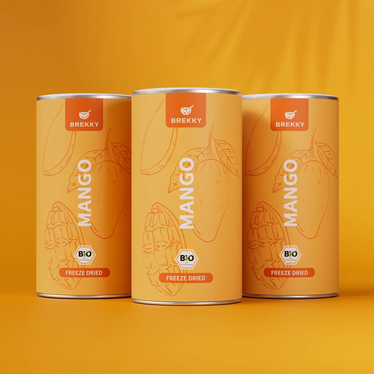 Gevriesdroogde Mango BIO