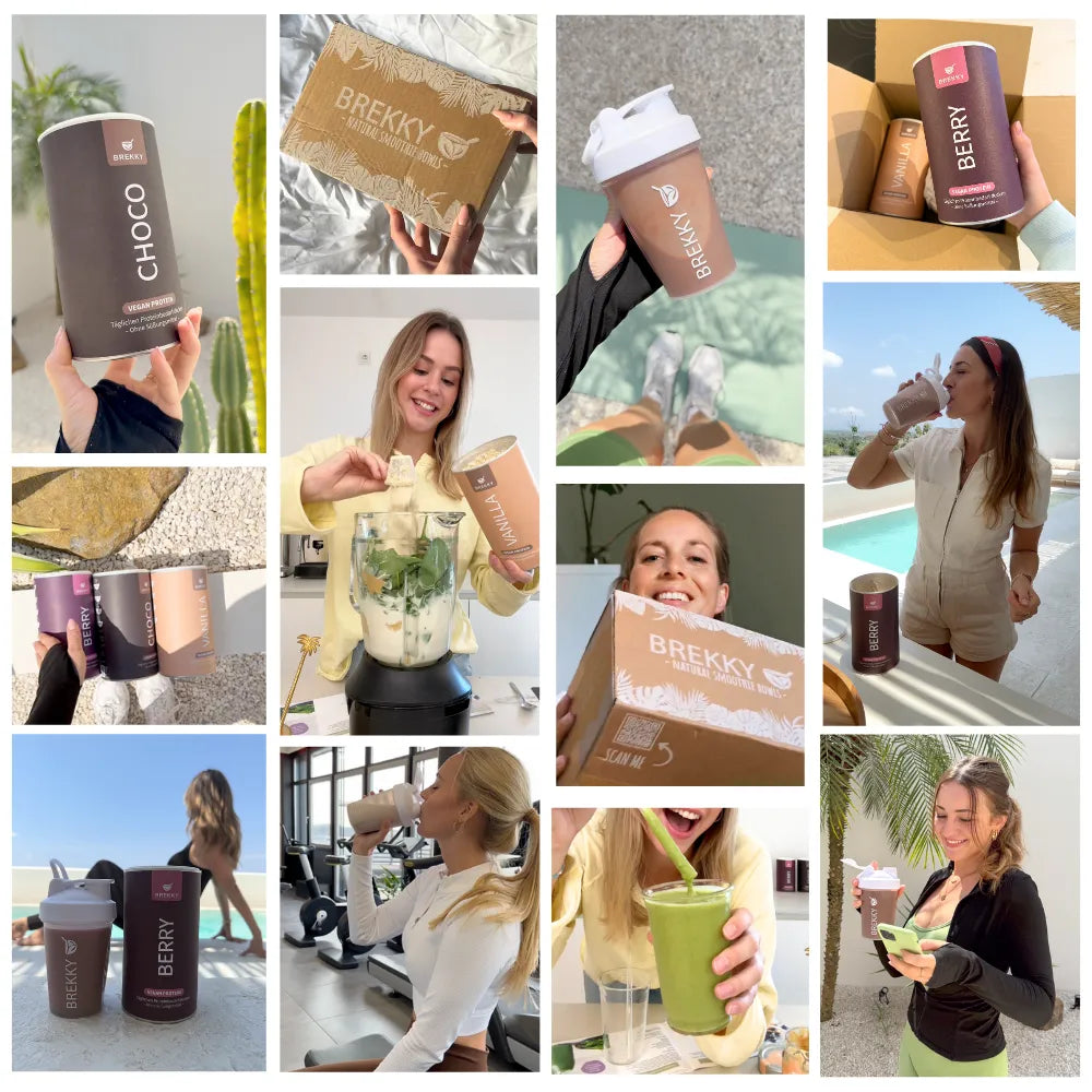 Veganistisch Proteïne Receptenboek