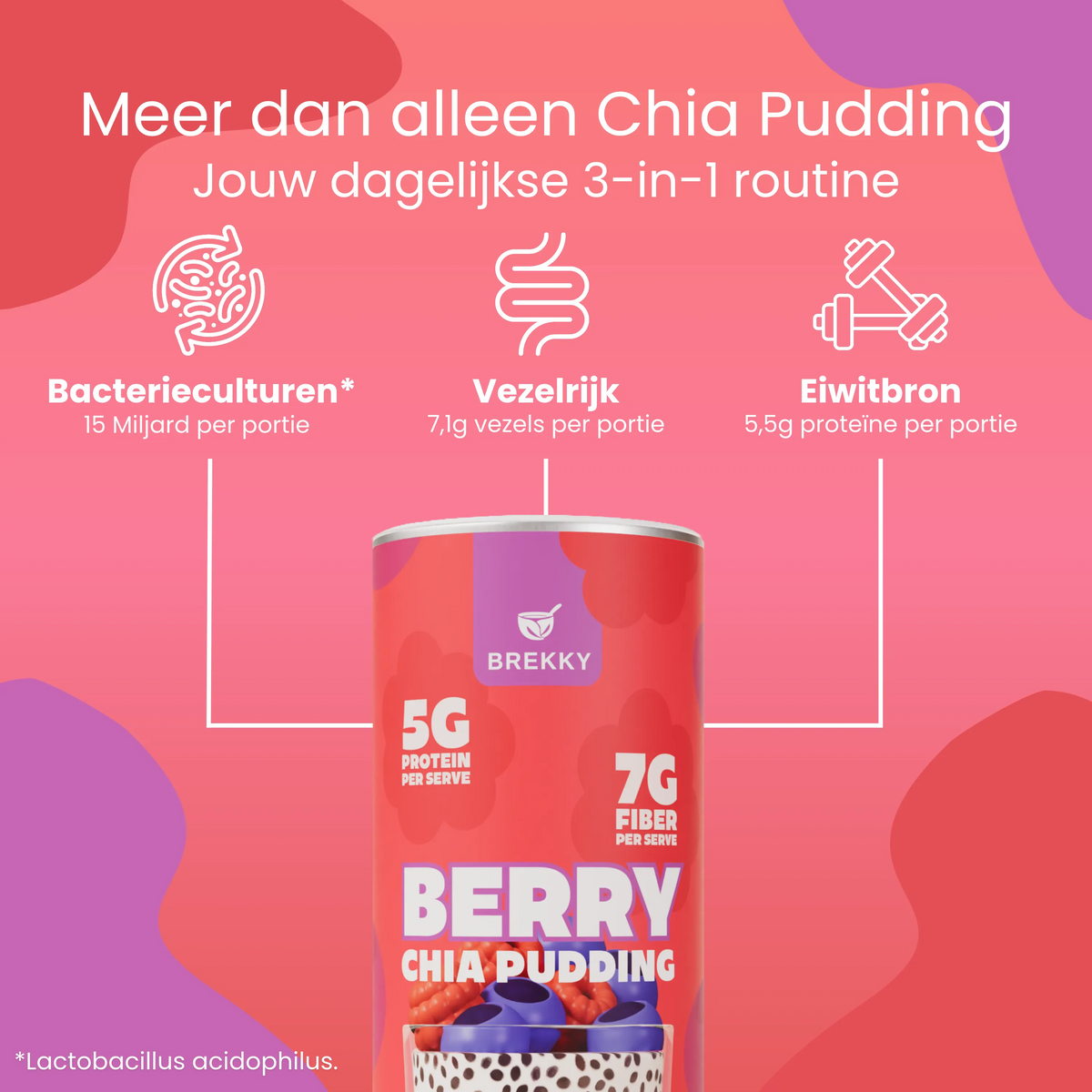 BREKKY Chia Pudding Berry USPs