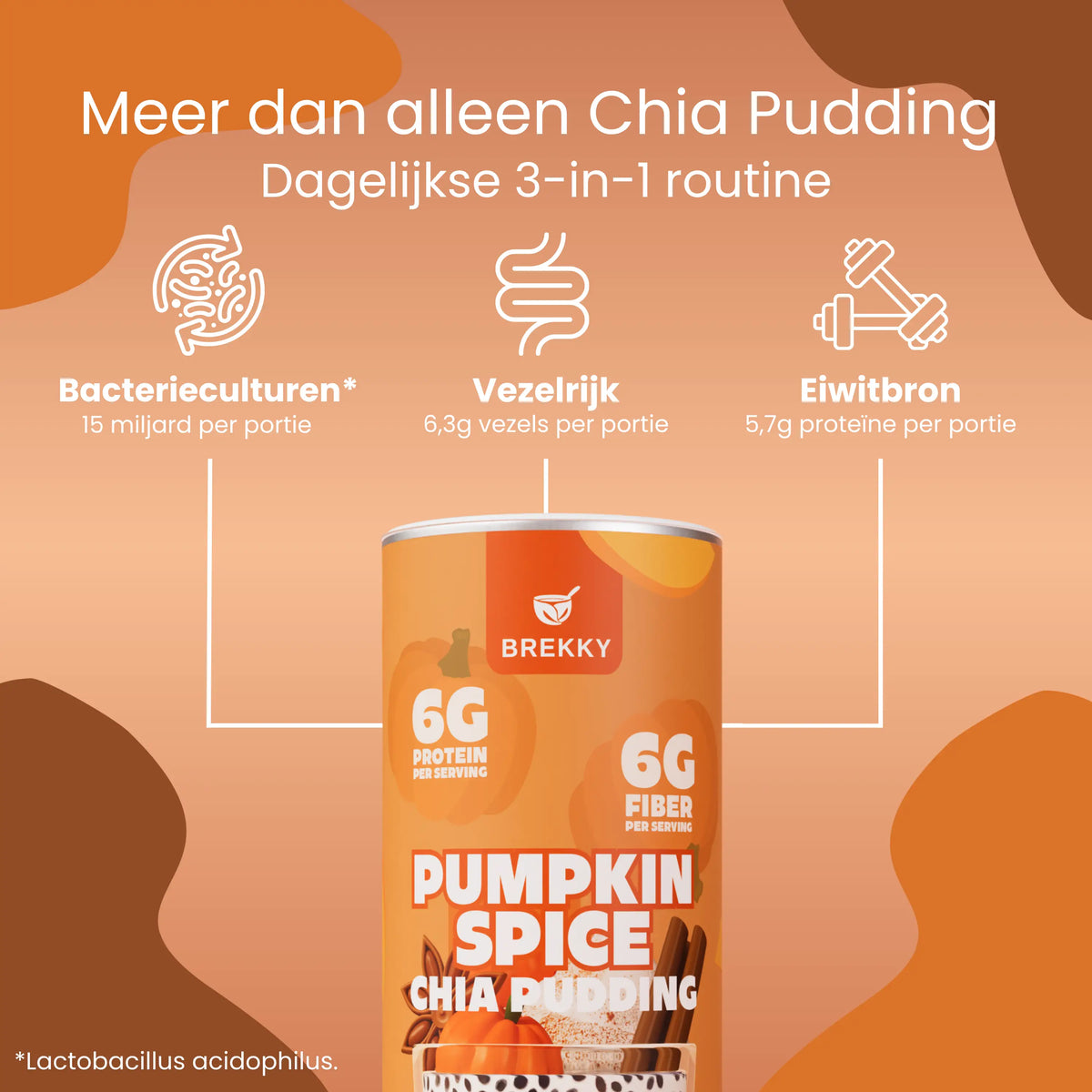 BREKKY Chia Pudding Pumpkin Spice USPs
