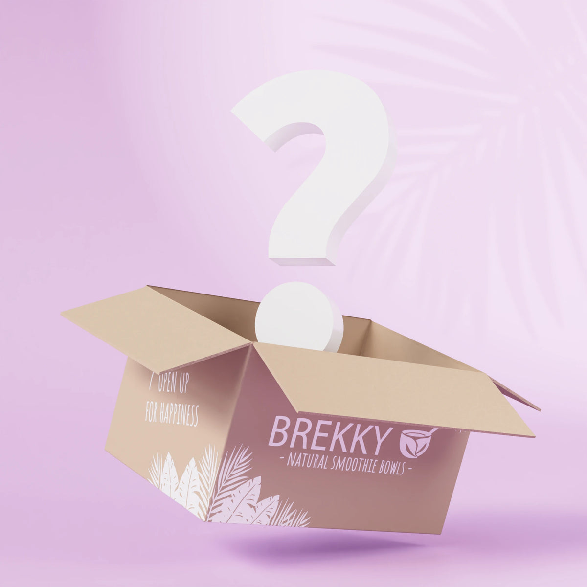 BREKKY Mystery Box | Birthday Special