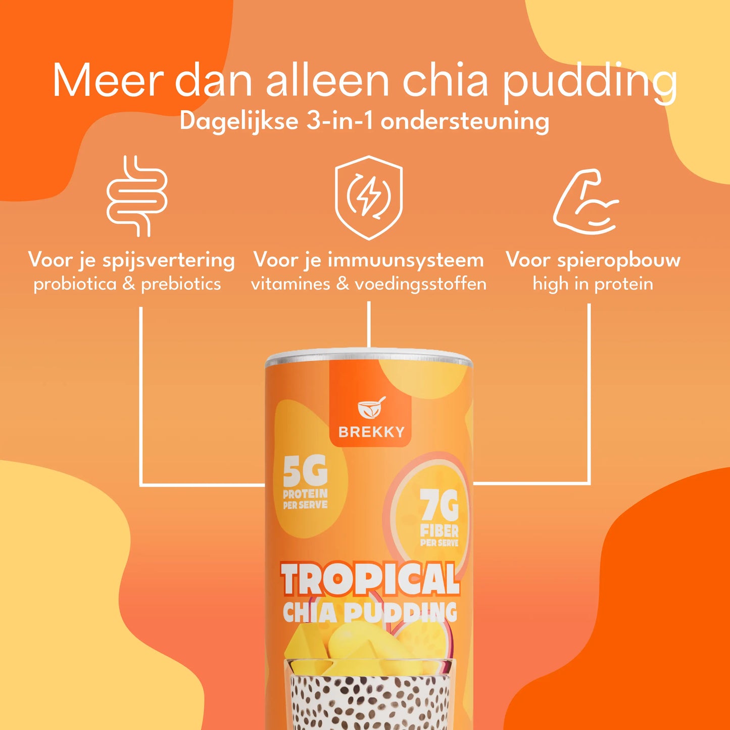 Chia Pudding Tropical | Pre- & probiotisch