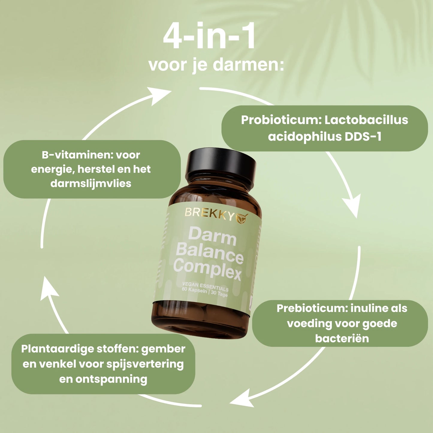 Daily Essentials Proefpakket