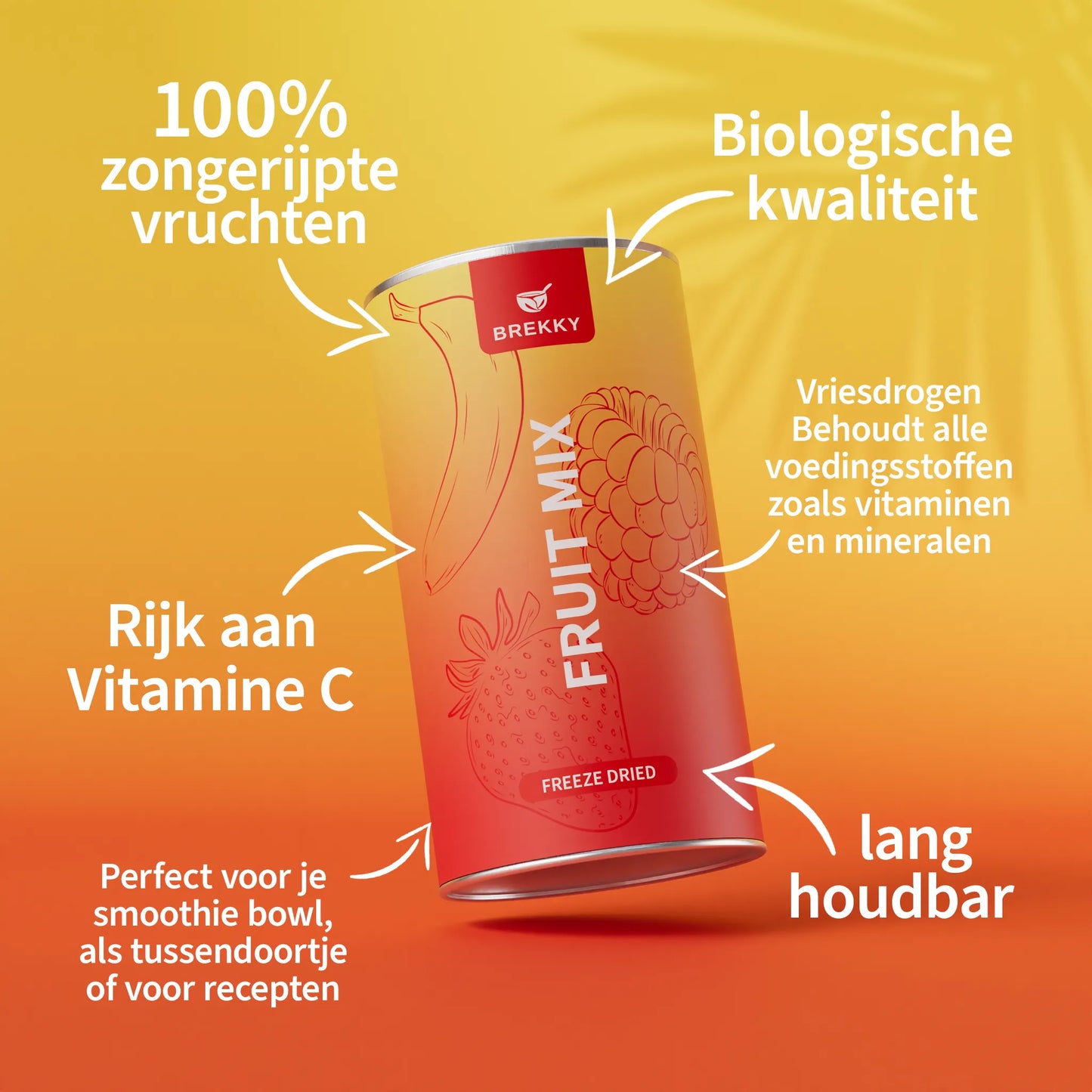 Gevriesdroogde Fruit Mix