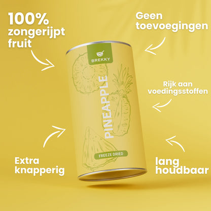 Gevriesdroogde Ananas