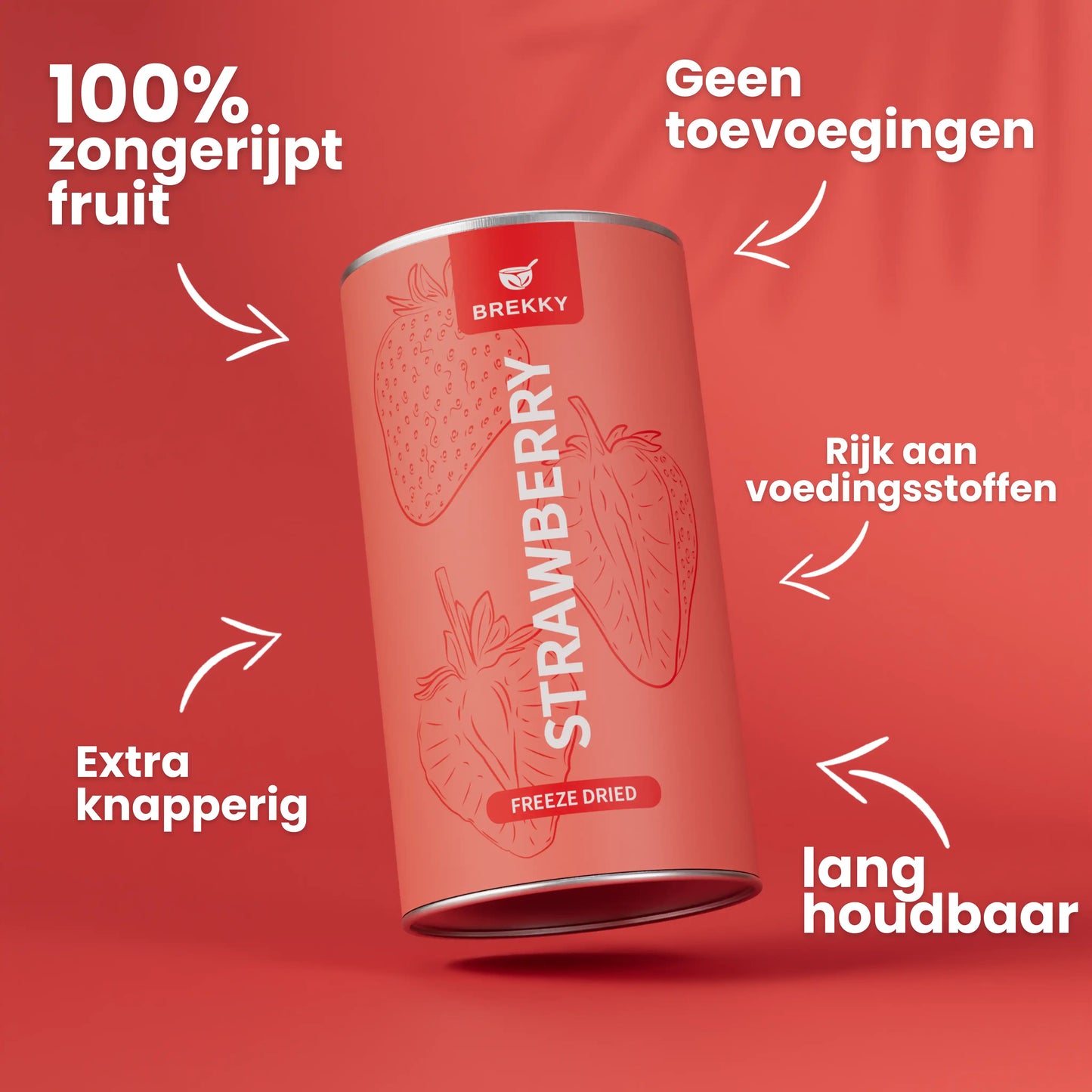 Gevriesdroogde Aardbei