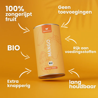 Gevriesdroogde Mango BIO