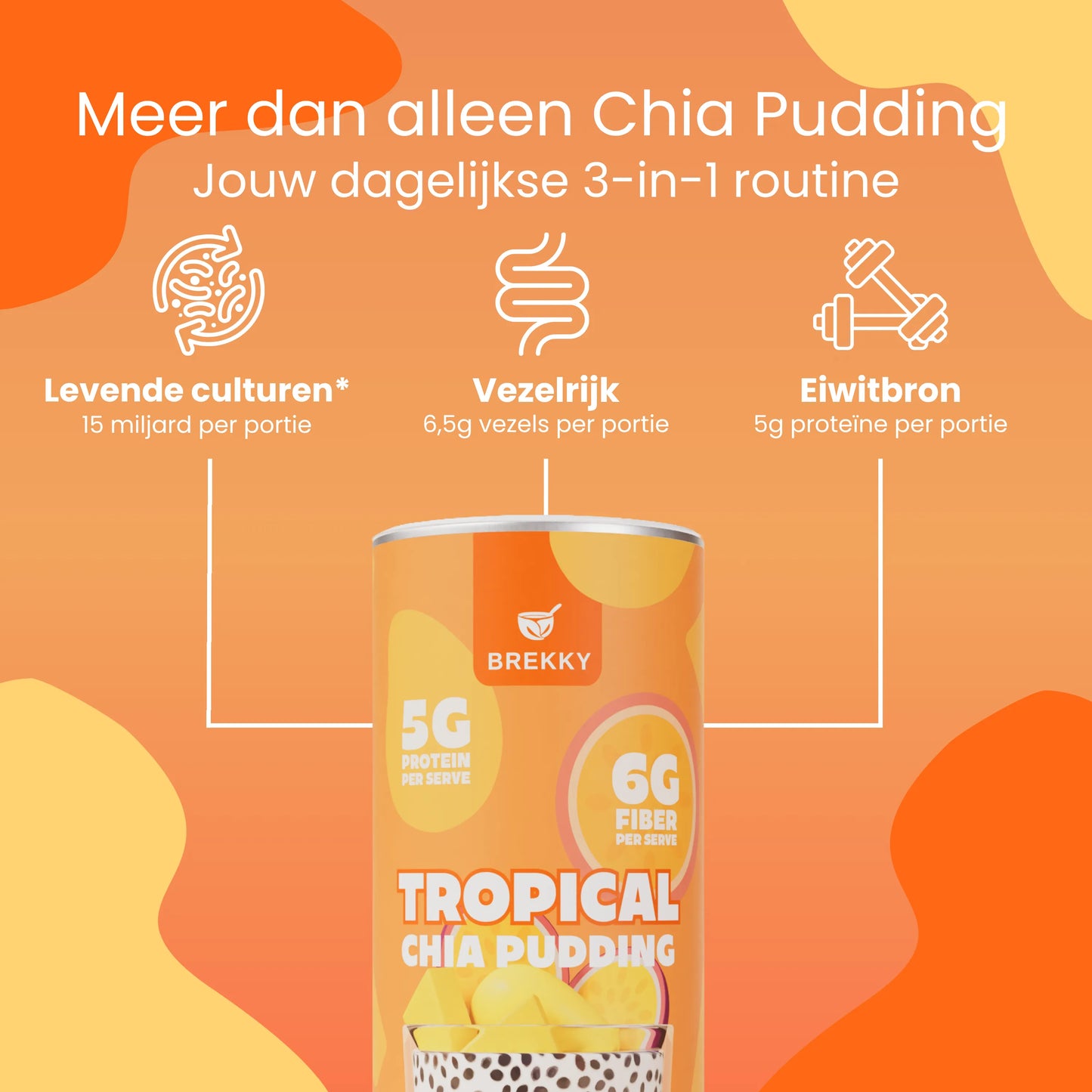 BREKKY Chia Pudding Tropical USPs