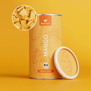 Gevriesdroogde Mango BIO