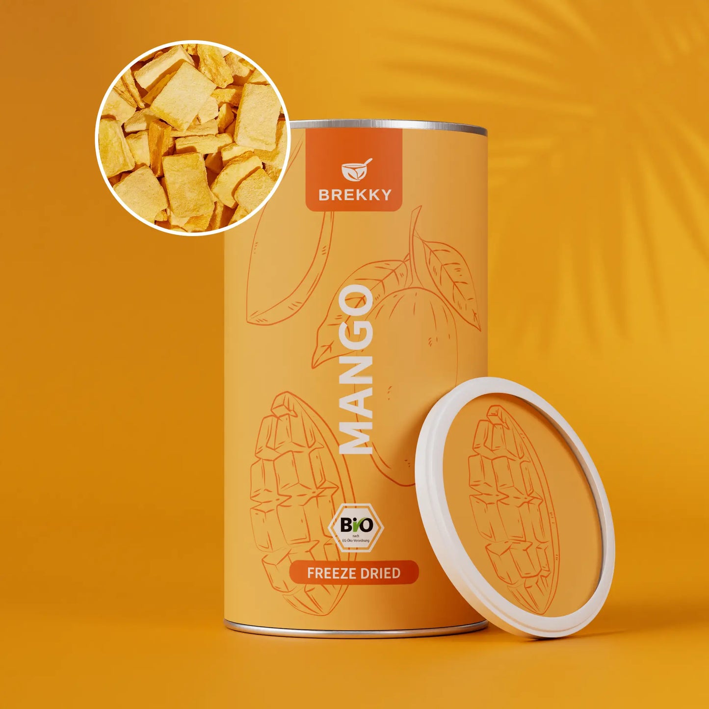 Gevriesdroogde mango BIO